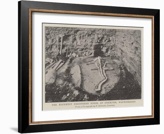 The Recently Discovered Fossil at Stockton, Warwickshire-null-Framed Giclee Print