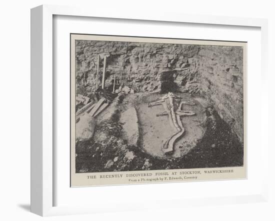 The Recently Discovered Fossil at Stockton, Warwickshire-null-Framed Giclee Print