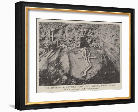 The Recently Discovered Fossil at Stockton, Warwickshire-null-Framed Giclee Print