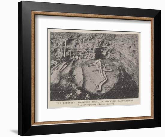 The Recently Discovered Fossil at Stockton, Warwickshire-null-Framed Premium Giclee Print