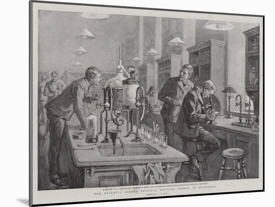 The Recently Opened Tropical Diseases School at Liverpool-William T. Maud-Mounted Giclee Print