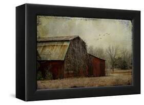 the Red Barn-Barbara Simmons-Framed Premier Image Canvas