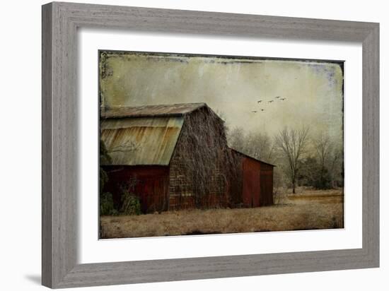 the Red Barn-Barbara Simmons-Framed Giclee Print