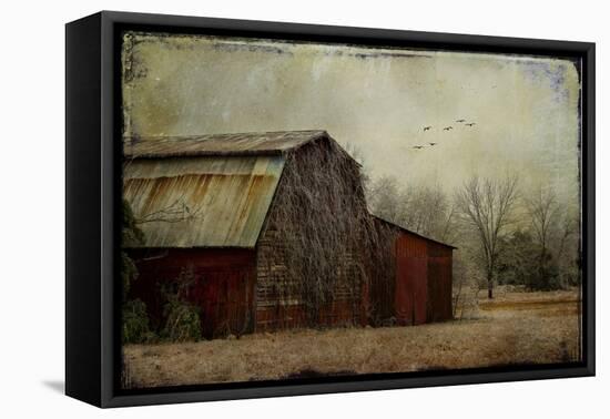 the Red Barn-Barbara Simmons-Framed Premier Image Canvas