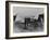 The Red Baron and His Dog-German photographer-Framed Giclee Print