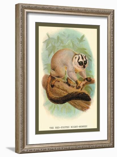 The Red-Footed Night-Monkey-Sir William Jardine-Framed Art Print