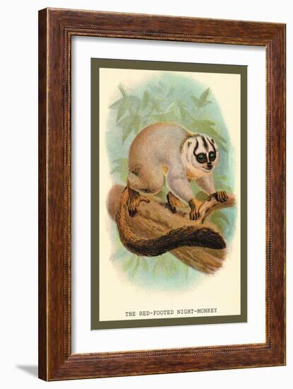 The Red-Footed Night-Monkey-Sir William Jardine-Framed Art Print