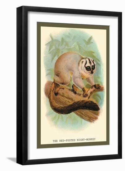 The Red-Footed Night-Monkey-Sir William Jardine-Framed Art Print