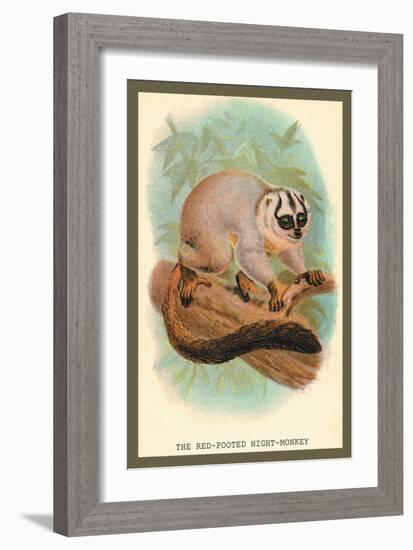 The Red-Footed Night-Monkey-Sir William Jardine-Framed Art Print