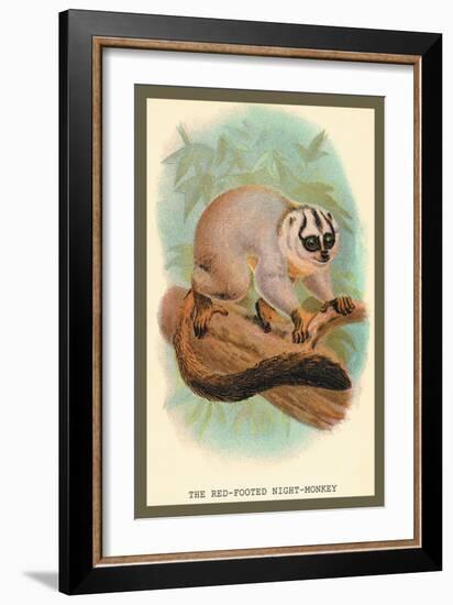 The Red-Footed Night-Monkey-Sir William Jardine-Framed Art Print