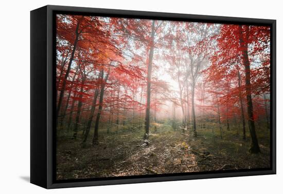 The Red Forest-Philippe Manguin-Framed Premier Image Canvas