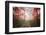 The Red Forest-Philippe Manguin-Framed Photographic Print