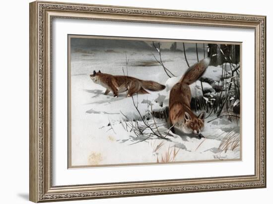 The Red Fox by Alfred Edmund Brehm-Stefano Bianchetti-Framed Giclee Print