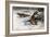 The Red Fox by Alfred Edmund Brehm-Stefano Bianchetti-Framed Giclee Print