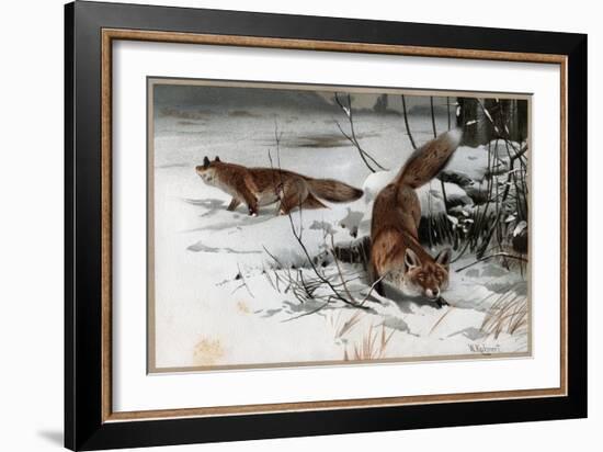 The Red Fox by Alfred Edmund Brehm-Stefano Bianchetti-Framed Giclee Print