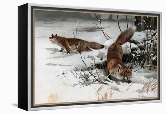 The Red Fox by Alfred Edmund Brehm-Stefano Bianchetti-Framed Premier Image Canvas