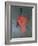 The Red Head, circa 1915-Amedeo Modigliani-Framed Premium Giclee Print