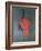 The Red Head, circa 1915-Amedeo Modigliani-Framed Premium Giclee Print