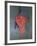 The Red Head, circa 1915-Amedeo Modigliani-Framed Giclee Print