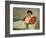 The Red Jacket-Félix Vallotton-Framed Giclee Print