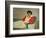 The Red Jacket-Félix Vallotton-Framed Giclee Print