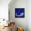 The red moon in the blue evening-Hyunah Kim-Framed Stretched Canvas displayed on a wall
