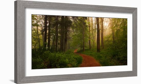 The Red Path-Leif Løndal-Framed Photographic Print