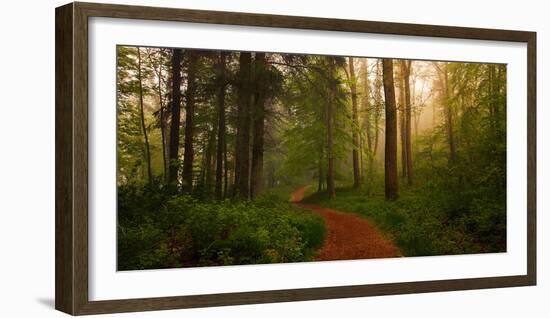 The Red Path-Leif Løndal-Framed Photographic Print