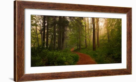 The Red Path-Leif Løndal-Framed Photographic Print