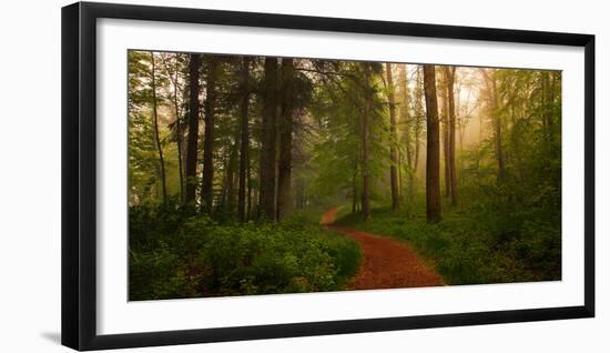 The Red Path-Leif Løndal-Framed Photographic Print