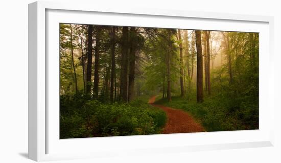 The Red Path-Leif Løndal-Framed Photographic Print