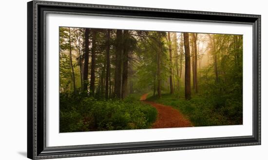 The Red Path-Leif Løndal-Framed Photographic Print