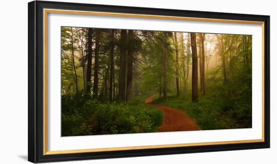 The Red Path-Leif Løndal-Framed Photographic Print