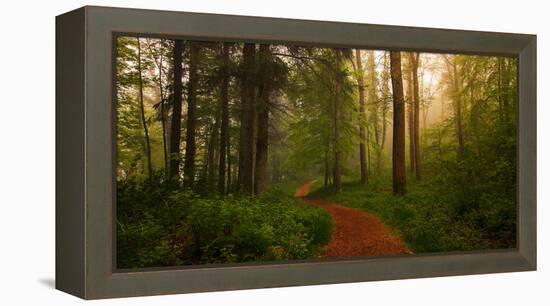 The Red Path-Leif Løndal-Framed Premier Image Canvas