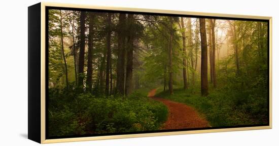 The Red Path-Leif Løndal-Framed Premier Image Canvas