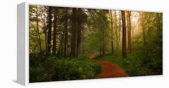 The Red Path-Leif Løndal-Framed Premier Image Canvas