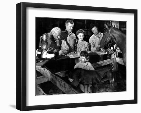 The Red Pony, Louis Calhern, Shepperd Strudwick, Myrna Loy, Peter Miles, Robert Mitchum, 1949-null-Framed Photo