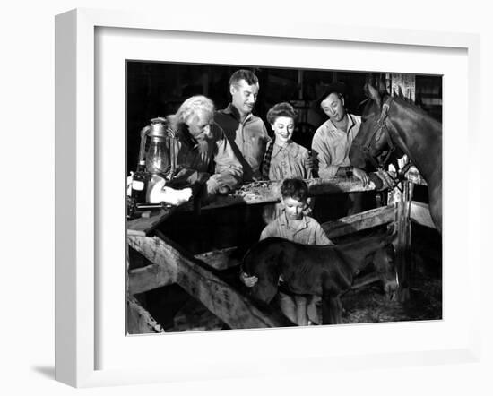 The Red Pony, Louis Calhern, Shepperd Strudwick, Myrna Loy, Peter Miles, Robert Mitchum, 1949-null-Framed Photo
