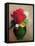 The Red Poppy-Odilon Redon-Framed Premier Image Canvas