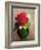 The Red Poppy-Odilon Redon-Framed Giclee Print