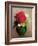 The Red Poppy-Odilon Redon-Framed Giclee Print