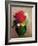 The Red Poppy-Odilon Redon-Framed Giclee Print