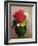 The Red Poppy-Odilon Redon-Framed Giclee Print