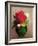 The Red Poppy-Odilon Redon-Framed Giclee Print