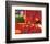 The Red Room-Henri Matisse-Framed Premium Giclee Print