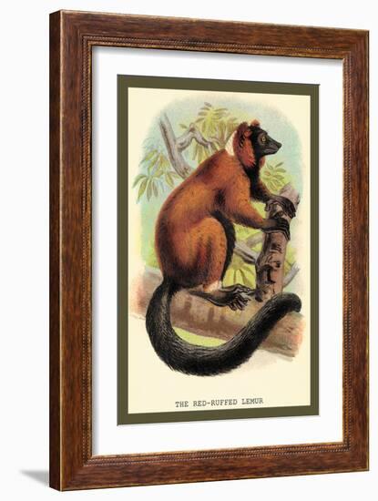 The Red-Ruffed Lemur-Sir William Jardine-Framed Art Print