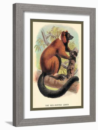 The Red-Ruffed Lemur-Sir William Jardine-Framed Art Print