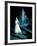 The Red Shoes, Moira Shearer, 1948-null-Framed Photo