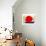 The Red Sun-Joan Miro-Art Print displayed on a wall