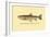 The Red Throat Trout-H.h. Leonard-Framed Art Print